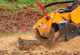 Best Organic Lawn Care Solutions  in Siena College, NY