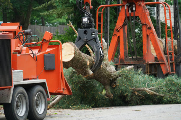 Best Lawn Mowing  in Siena College, NY