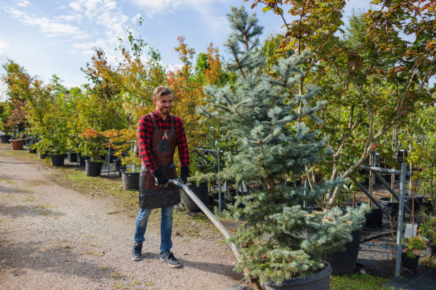 Best Tree Preservation Services  in Siena College, NY